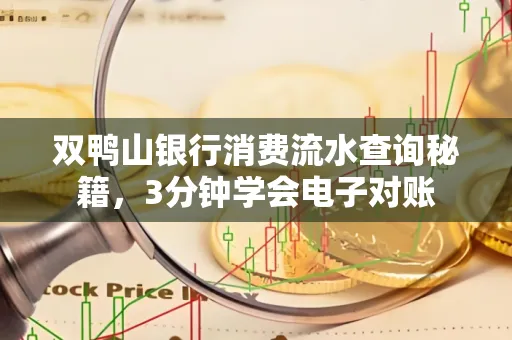 双鸭山银行消费流水查询秘籍，3分钟学会电子对账