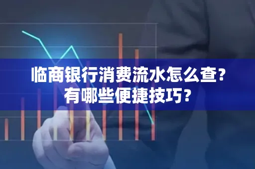 临商银行消费流水怎么查？有哪些便捷技巧？