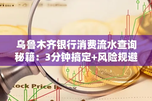 乌鲁木齐银行消费流水查询秘籍：3分钟搞定+风险规避干货