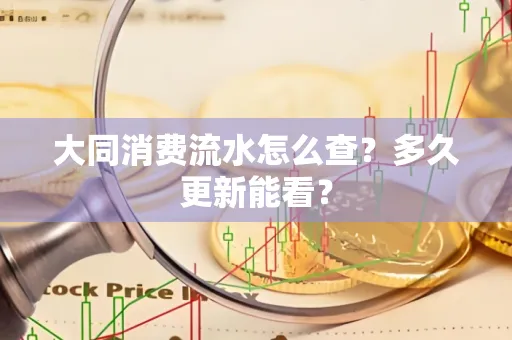 大同消费流水怎么查？多久更新能看？