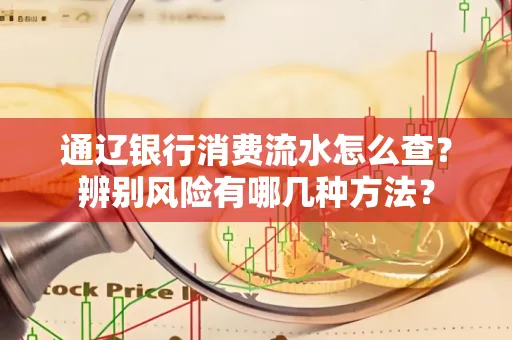 通辽银行消费流水怎么查？辨别风险有哪几种方法？