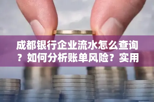 成都银行企业流水怎么查询？如何分析账单风险？实用指南