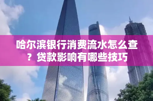 哈尔滨银行消费流水怎么查？贷款影响有哪些技巧