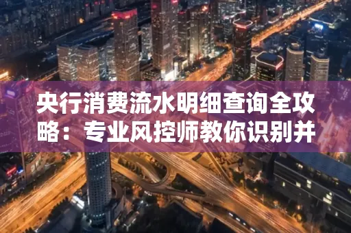 央行消费流水明细查询全攻略：专业风控师教你识别并规避用卡风险！