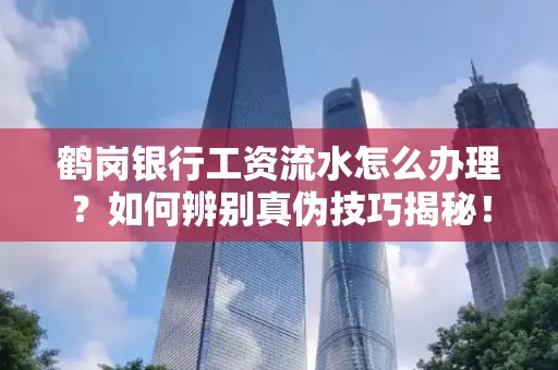 鹤岗银行工资流水怎么办理？如何辨别真伪技巧揭秘！