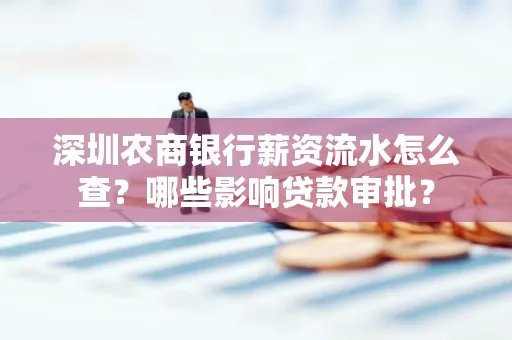深圳农商银行薪资流水怎么查？哪些影响贷款审批？